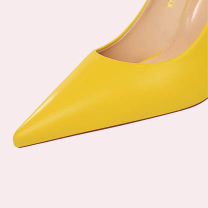 Stylish women's shoes with sophisticated high heels